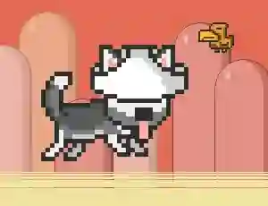MR JUMP HUSKY
